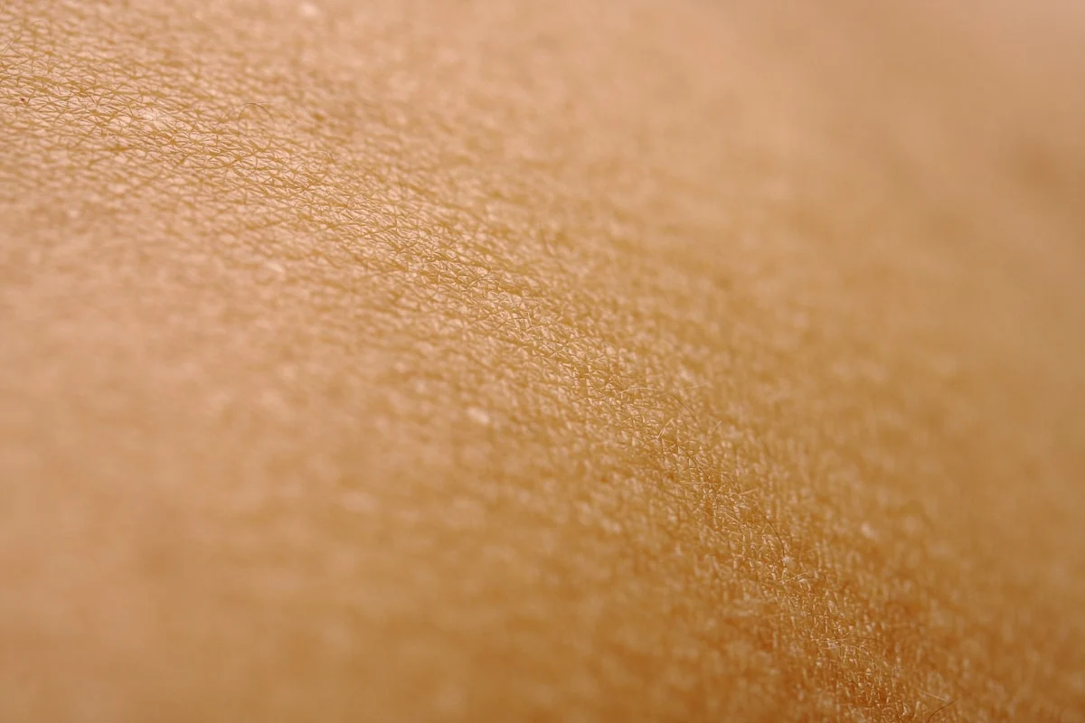 Human Skin Texture