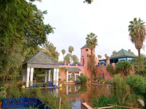 A peaceful view of the Jardin Majorelle in Marrakesh. The vibrant "Majorelle Blue" and soft pink buildings are reflected in a calm lily pond. Surrounded by lush greenery, exotic cacti, and towering palm trees, the scene captures the famous botanical sanctuary's unique blend of Art Deco and Moorish influences under a clear, bright sky.